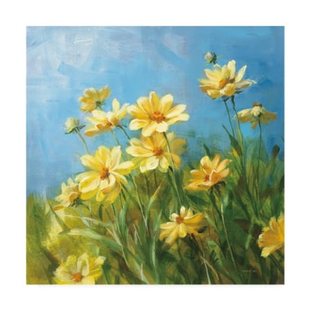 Danhui Nai 'Summer Field I' Canvas Art,18x18